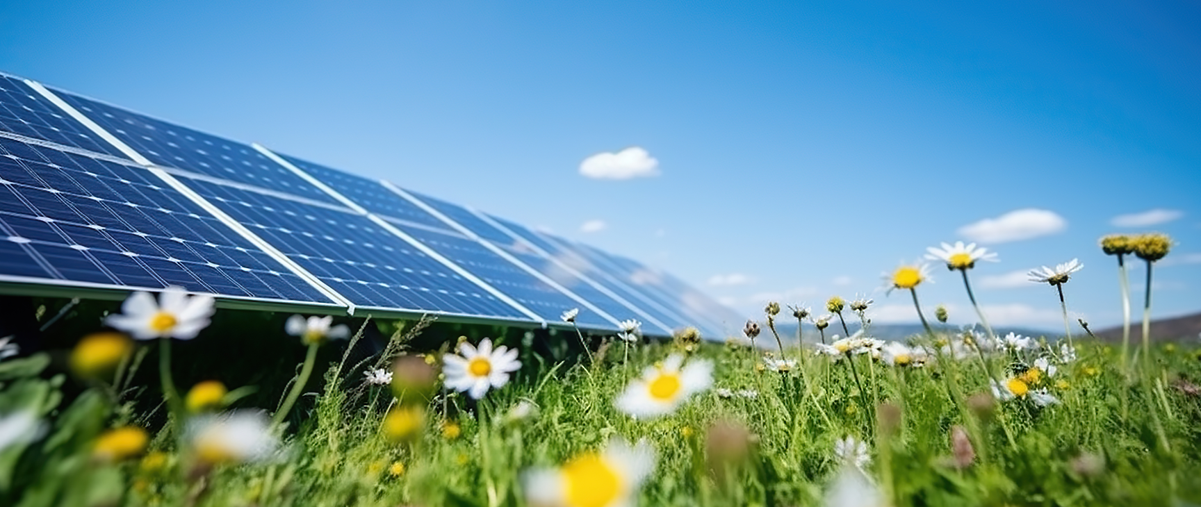 Paneles solares en un campo de flores con cielo despejado una pocas nubes
